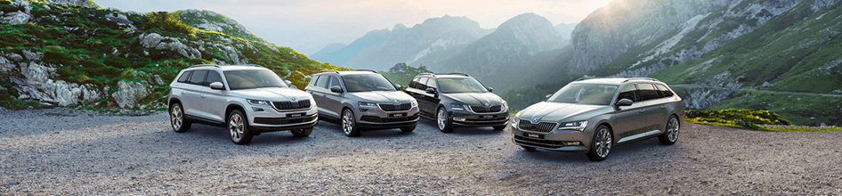 Ofertas Skoda para tu empresa Ofertas Skoda para tu empresa